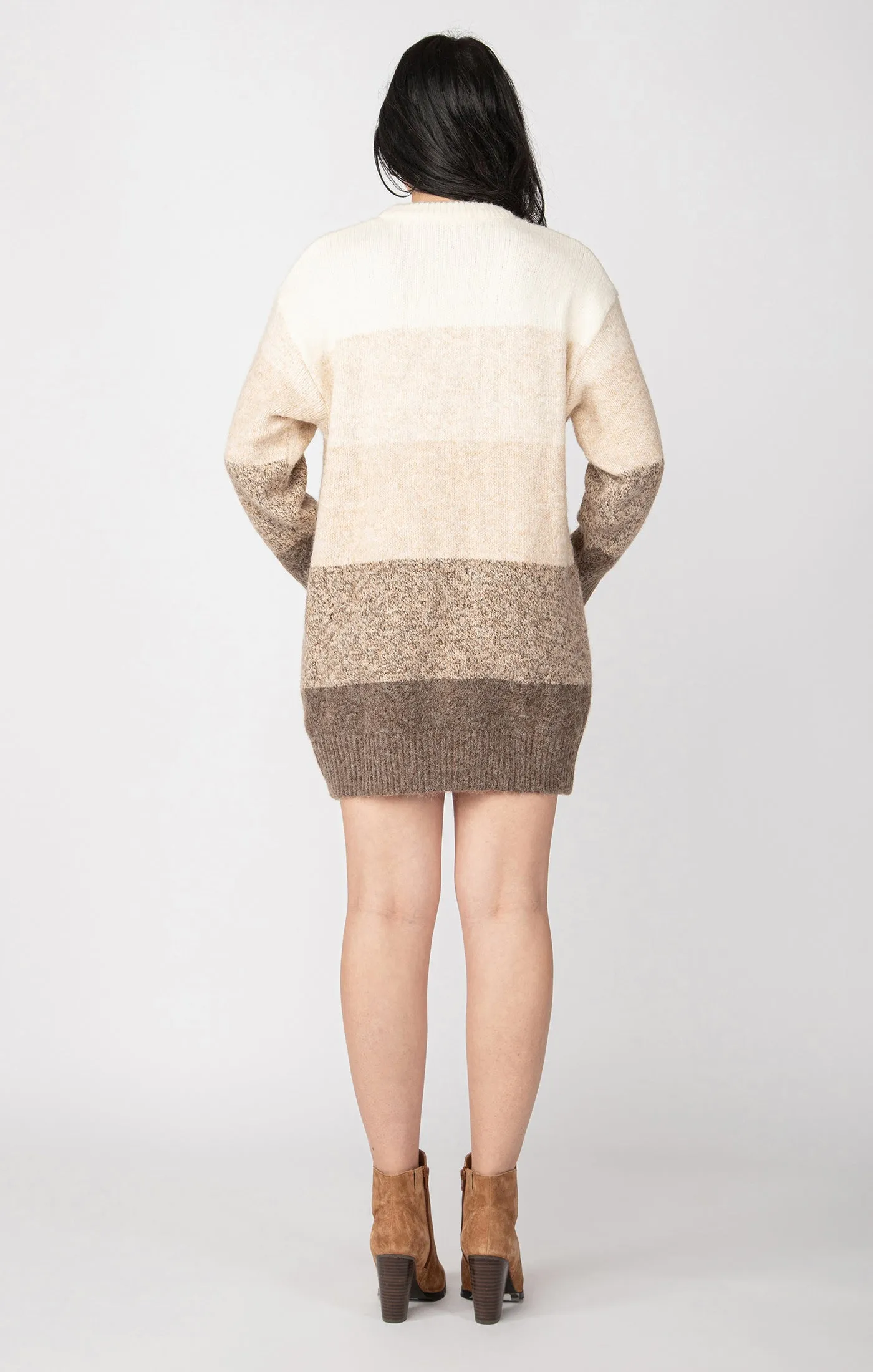 Dex LS Colorblock Sweater Dress