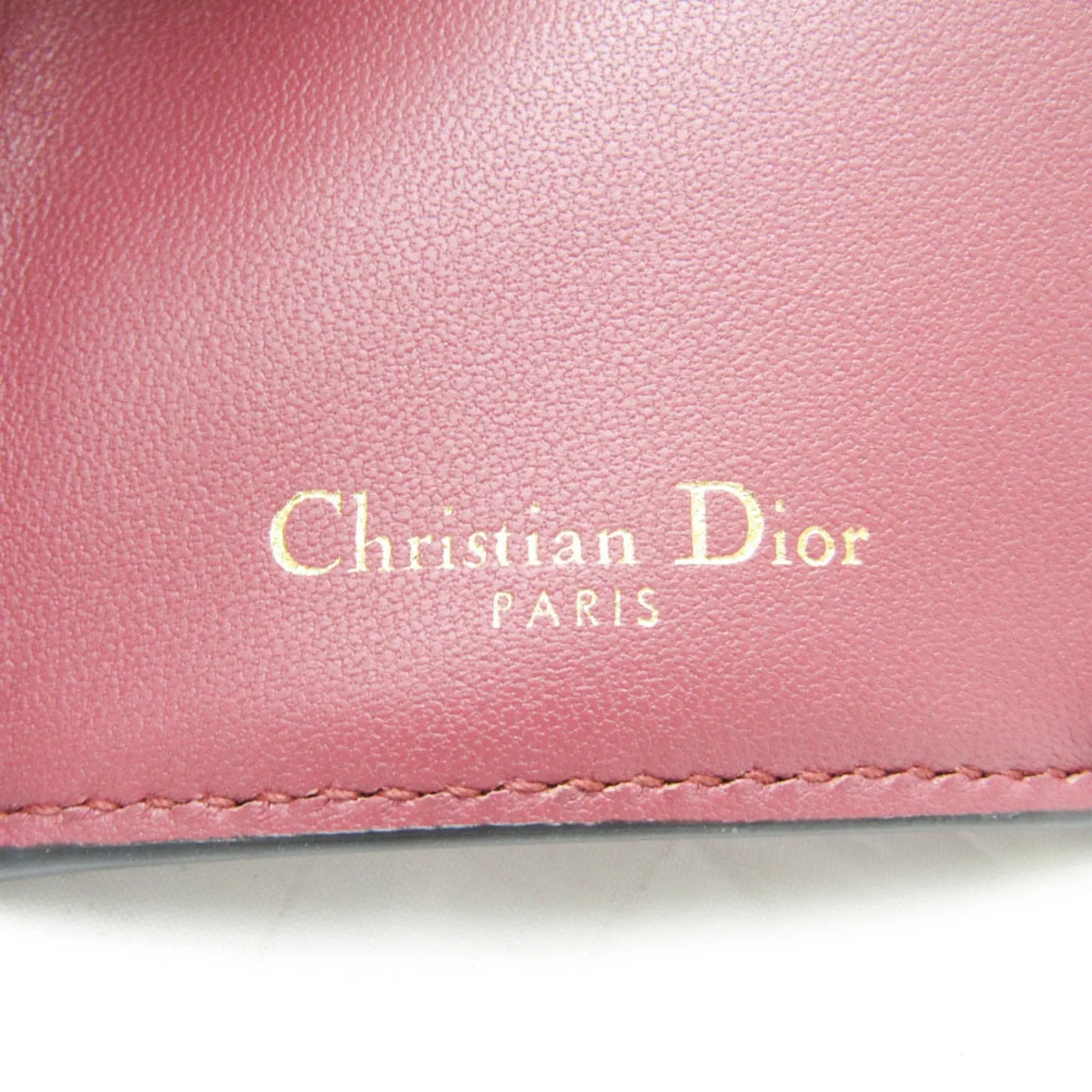 Dior Saddle Pink Leather Accessories
