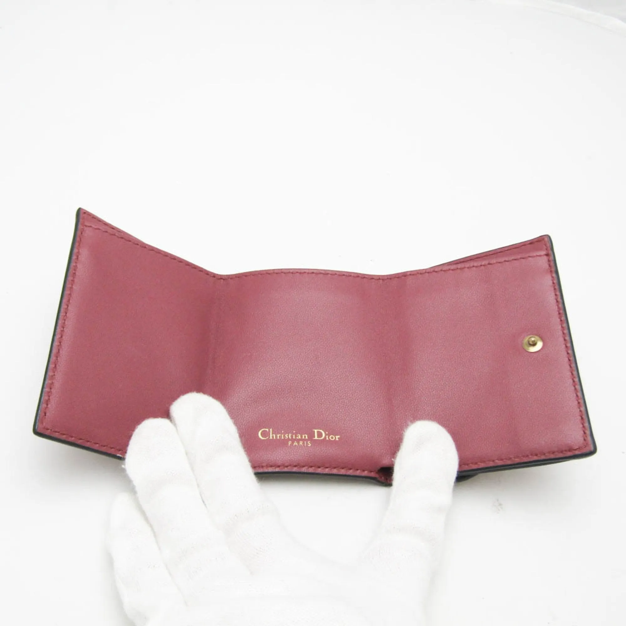 Dior Saddle Pink Leather Accessories